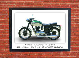 Triumph Thunderbird Motorcycle - A3 Size Print Poster