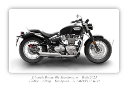 Honda ST1300 Pan European Motorcycle - A3/A4 Size Print Poster