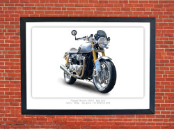 Triumph Thruxton 1200 R Motorcycle - A3/A4 Size Print Poster
