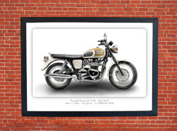 Triumph Bonneville T100 Motorbike Motorcycle - A3/A4 Size Print Poster